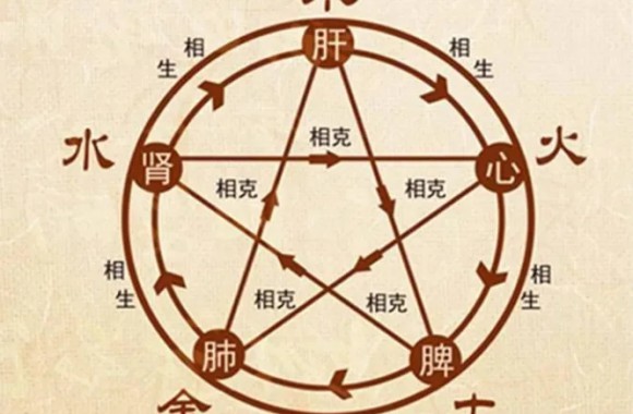 基于大食物观下的五体养生理论研究