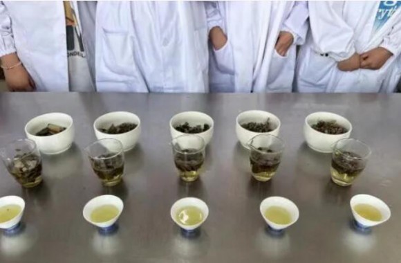 如法炮制技艺强，古法今制传承忙 陕西旅游烹饪职业学院《中医食疗药膳学》期末采取了“以赛代考”的检测模式