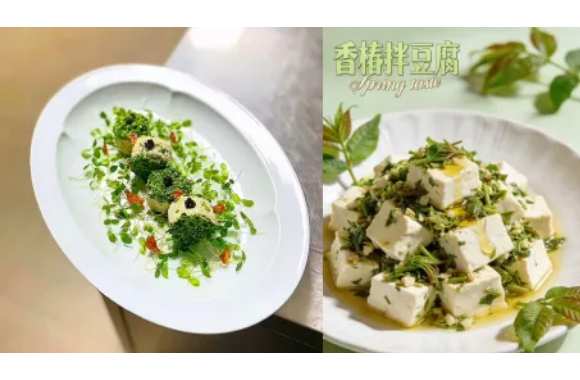 清明食俗·寻味春鲜｜陕西旅游烹饪职业学院烹饪艺术系带你解锁节气养生菜
